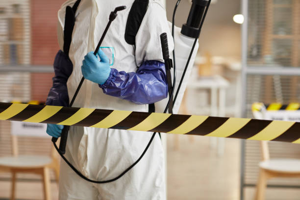 Professional Sewage Cleanup technician working in East Brunswick, NJ